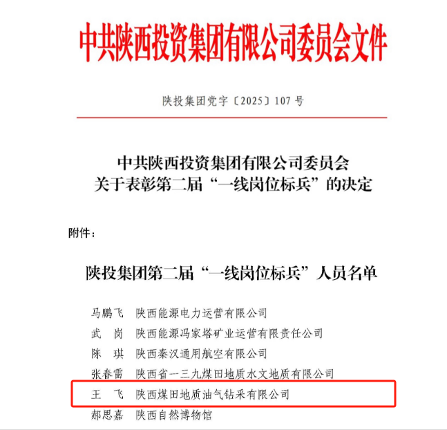 王飞.png