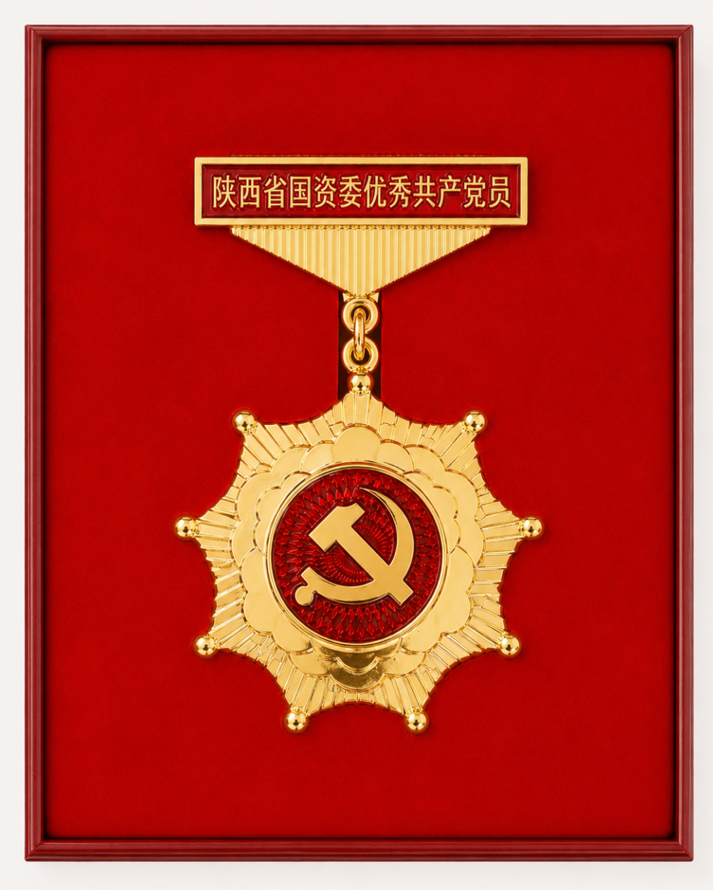 7.8孙雯摄影--奖章--王飞获省国资委优秀共产党员.png